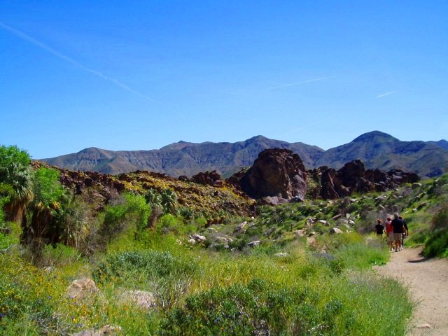 indian-canyons-california-san-diego-reader