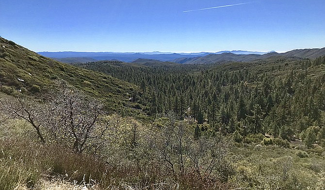 Among the pines in Pine Valley, CA | San Diego Reader