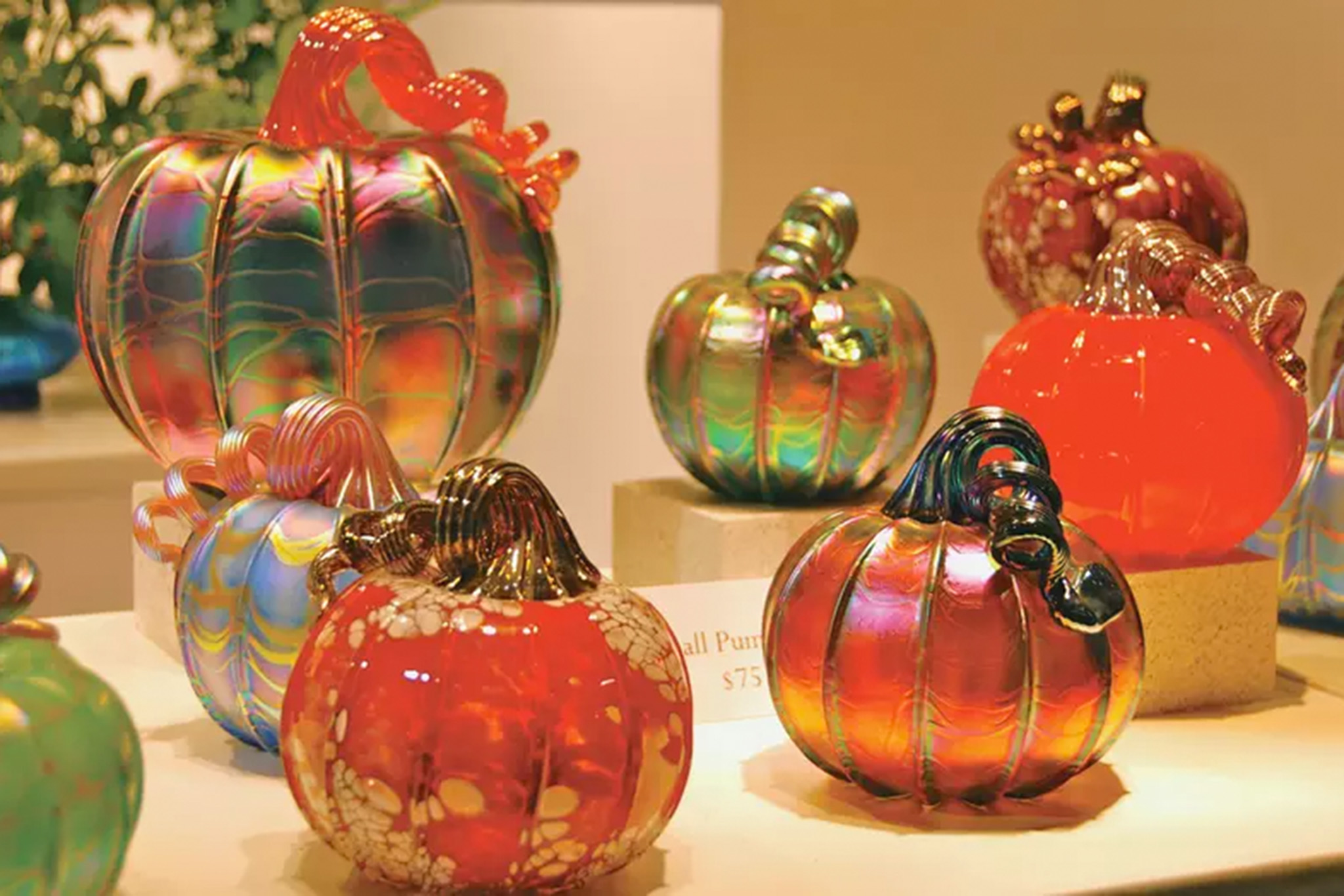 P.O.D., The Harvest Festival, La Jolla Art & Wine - Vimarsana News