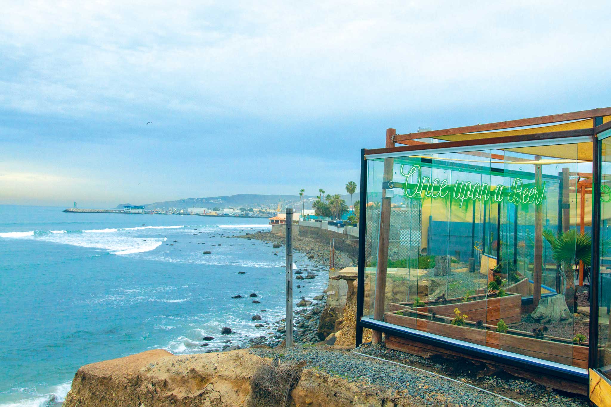 Matthew Suarez combs Ensenada for best seafood carts and breweries - Vimarsana News
