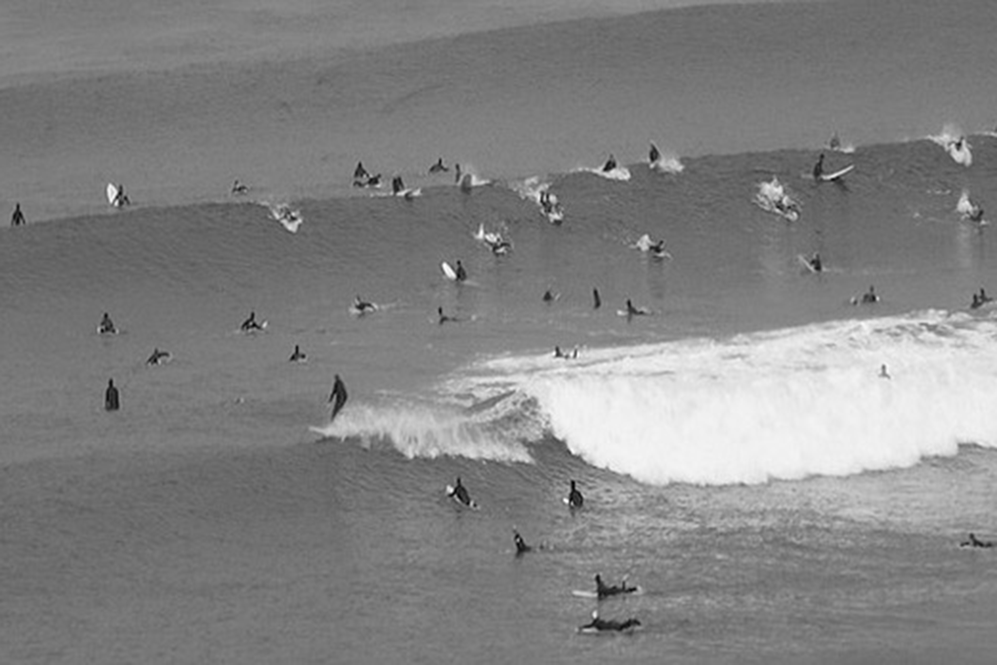Andrew Bird and Iron & Wine, Brains And Brews On The Bay, Solento Surf Festival - Vimarsana News
