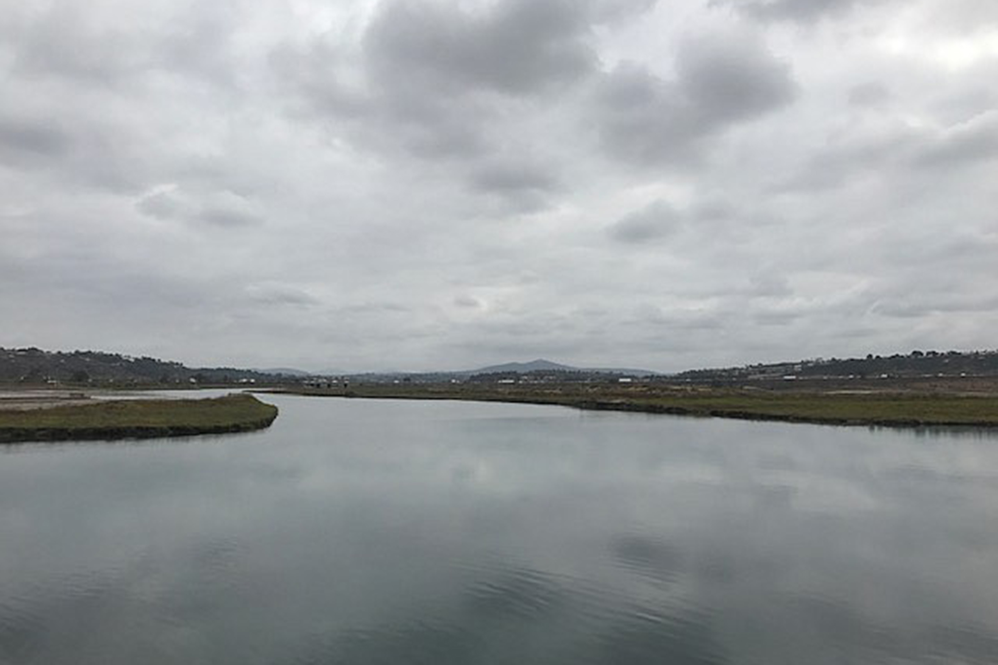 July Walk in San Dieguito Lagoon, Summer Nights at the Botanic Garden, Morgan Wallen - Vimarsana News