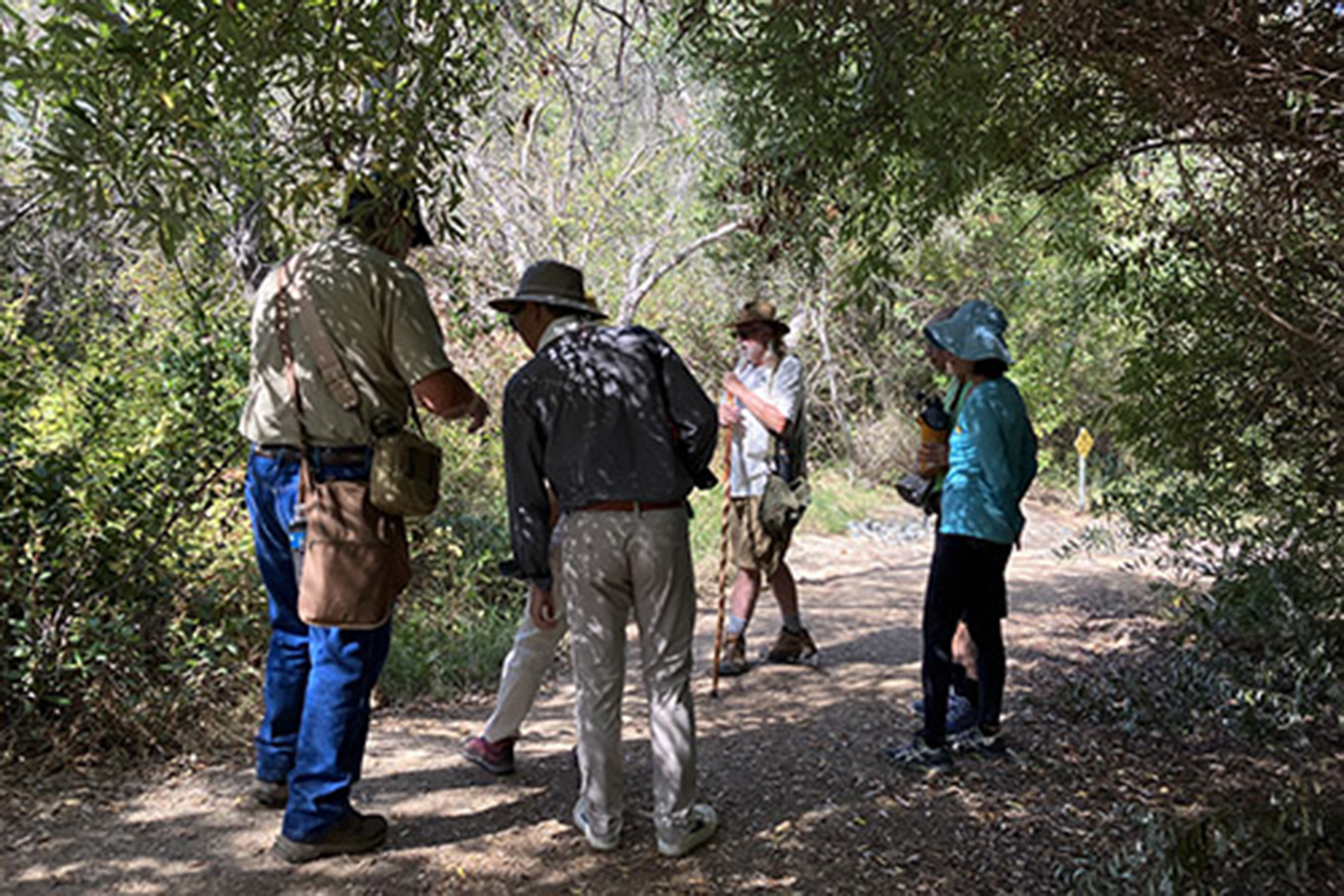 Guided nature walk, Taste of University Heights - Vimarsana News