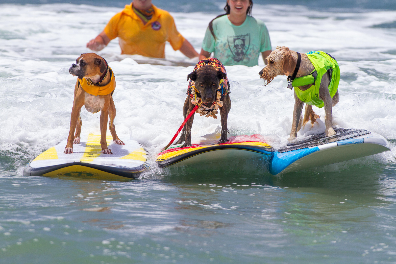 Surf Dog Competition Saturday, July 29, 2017, 8 a.m. to 2 p.m. San