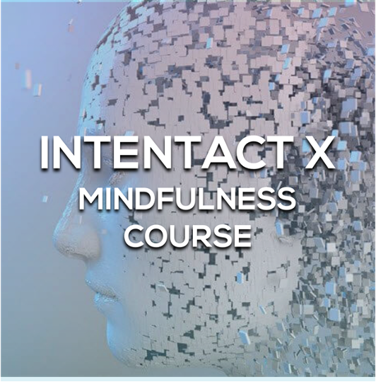 Training: 5 Components of Mindfulness | San Diego Reader