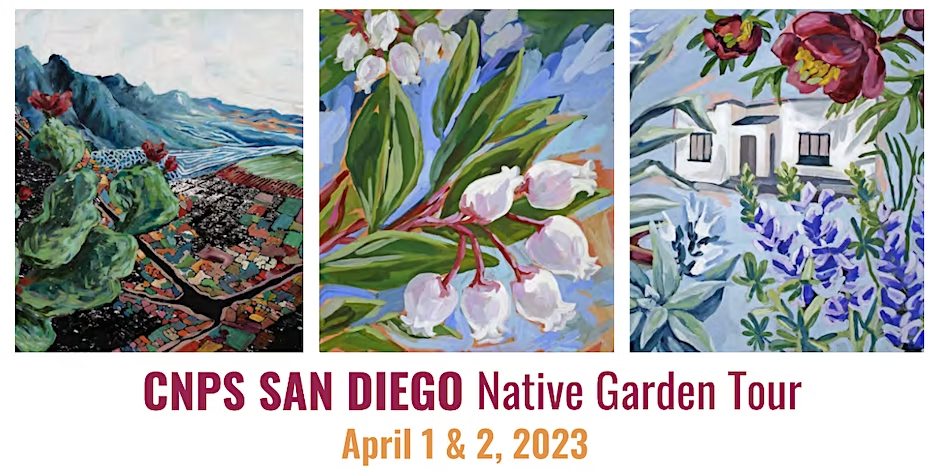 Cnps San Diego Native Garden Tour Saturday April 1 2023 9 Am To 4 Pm San Diego Reader 8248