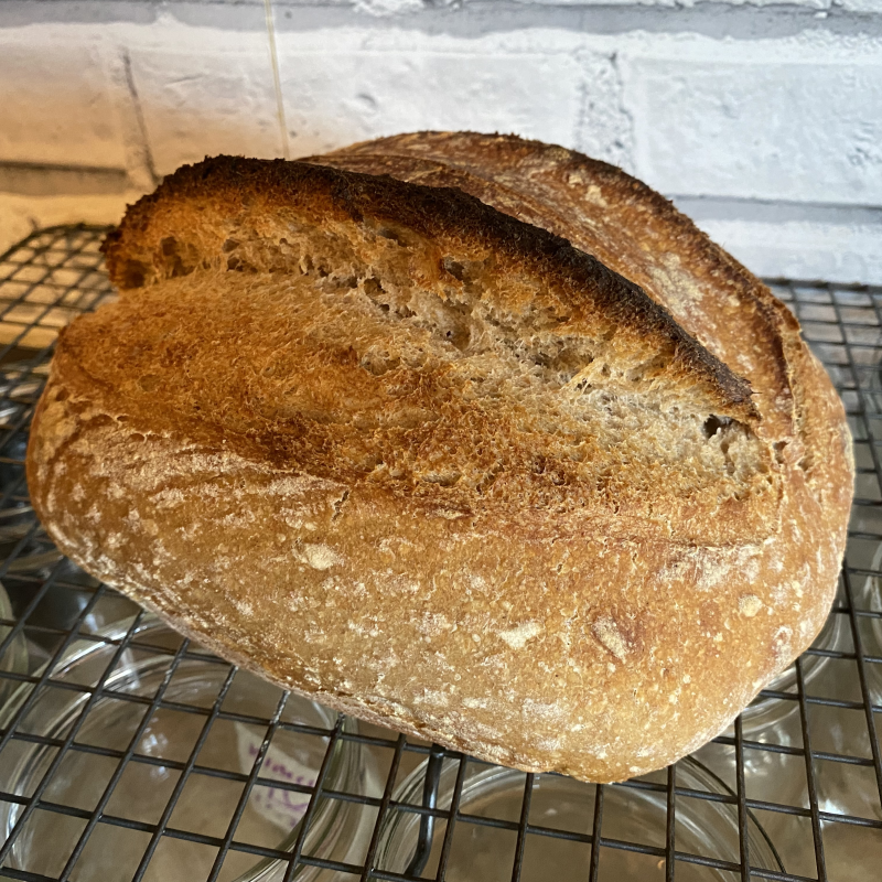 Sourdough Bread 101: Learn the Essentials for Making Sourdough Bread @ Home  Tickets, Wed, Jan 17, 2024 at 4:30 PM