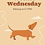 Weenie Wednesday