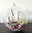 Air Plant Terrarium Craft Workshop