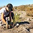 Nature Collective Volunteer Restoration Event