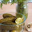 Crunchy Cucumber Pickle Hands-on Workshop