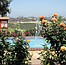 Balboa Park Horticultural Tours: Inez Grant Parker Memorial Rose Garden