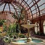 Horticultural Tours: Botanical Building