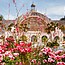 Balboa Park Horticultural Tours: Botanical Building Central Gardens