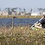 Wildlife Kayaking Eco Tour
