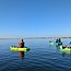 Ocean Connectors Wildlife Kayaking Eco Tour