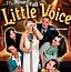 Backyard Renaissance: The Rise & Fall Of Little Voice