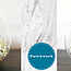 Air Plant Terrarium Craft Workshop