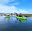 Ocean Connectors Wildlife Kayaking Eco Tour
