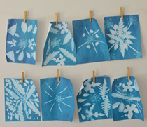 Open Studios: Cyanotype Alchemy