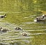 Guided Nature Walk