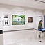 Bank of America Museums On Us: Free Admission