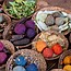 Cochineal & Natural Dyes