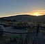 Summer Twilight Walk: Bushy Hill Parking Lot