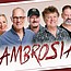 Ambrosia