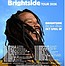 Ziggy Marley
