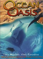 Ocean Oasis