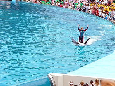 Sea World is known for spectacular animal shows, interactive
attractions, aquariums, rides, dining facilities and education
programs for all ages.