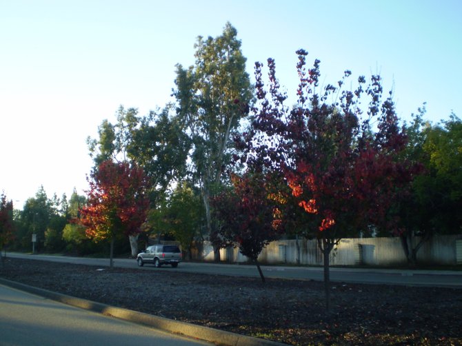 Going to work on Citracado Parkway