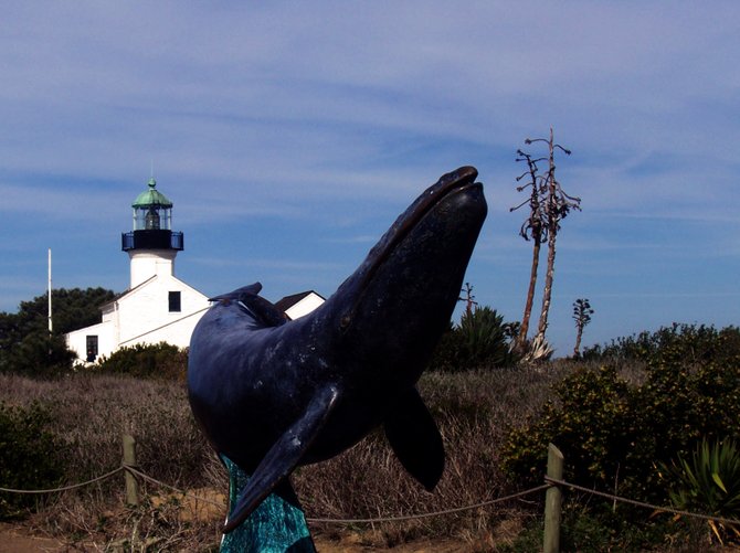 The California Grey Whale statue that is in front of the Whale Overlook with the Old Point Loma Light house in the background, in trhe Cabrillo National Monument Park.