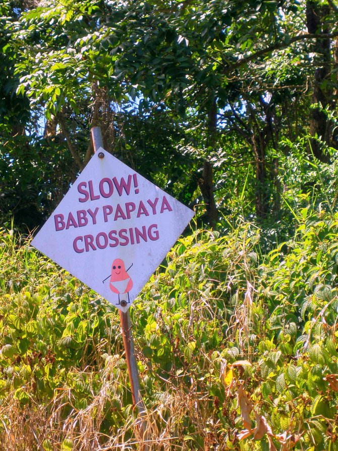 Quirky sign we passed on the Road to Hana in Maui. 
