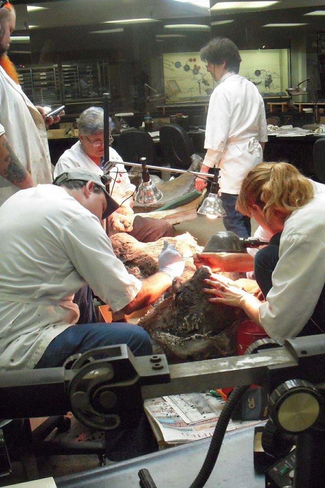 Inside the Page Museum's "fishbowl," researchers work on a mammoth femur.