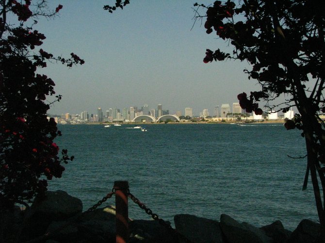 view of san diego bay from shelter island
