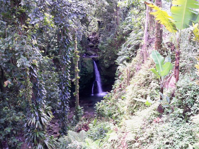 Hidden Jaco Falls on the island of Dominica in the Caribbean. The locals say that this waterfall has healing powers and can make you feel 10 years younger.
