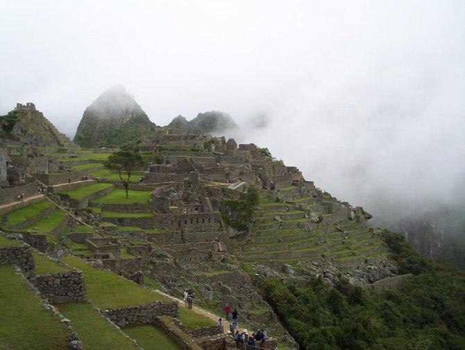 The beautiful terraced slopes of Machu Picchu, Peru