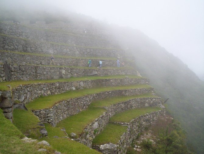 Some low lying clouds envelope the nicely landscaped terraces of Machu Picchu.
