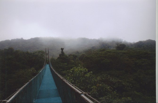 Several hanging foot bridges allow one to explore the cloud forest canopy in Monteverde, Costa Rica
