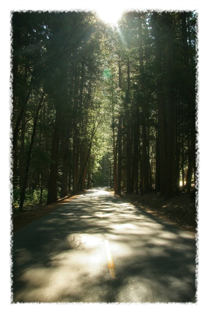 Smoky Road in Yosemite National Park.