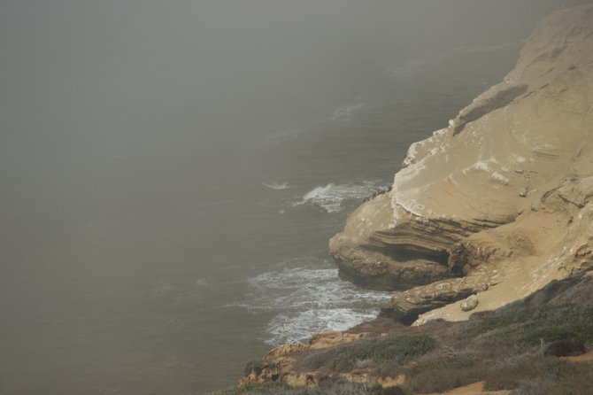 The fog covered tide pools of Cabrillo National Monument 