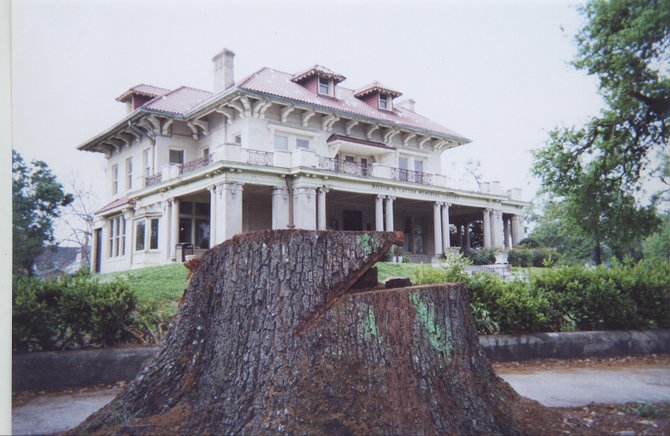 New Orleans, Lousiana: The stump of a tree uprooted by Hurricane Katrina. The Milton Latter Library is in the background.