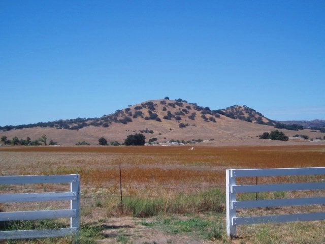 This lovely view of a meadow is what you see from the parking lot at Dudley's Bakery in Santa Ysabel. It's hard to believe that Dudley's has been around for 46 years. Dudley Pratt, the original proprietor, opened his bakery in 1963. Does anyone else have a craving for apple nut bread?