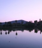 A violet sunset over the pond in the Heart of Africa exhibit at the San Diego Wild Animal Park. You can almost hear the cicadas …
