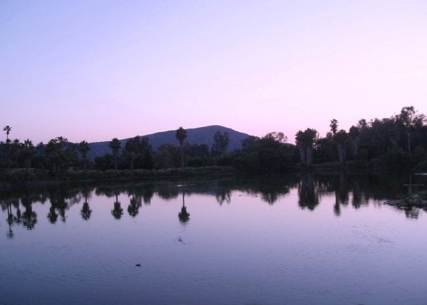  A violet sunset over the pond in the Heart of Africa exhibit at the San Diego Wild Animal Park. You can almost hear the cicadas buzzing. 