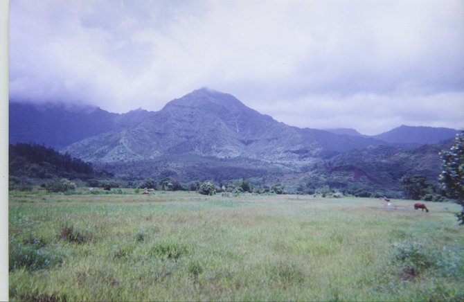 Hanalei, Valley in Kauai