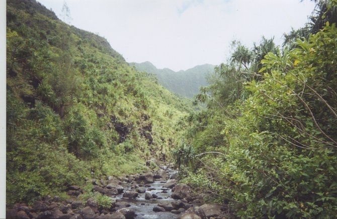  Crossing a stream during a hike on the lushest of the Hawaiian islands, Kauai.
