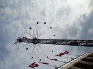 photo thumbnail